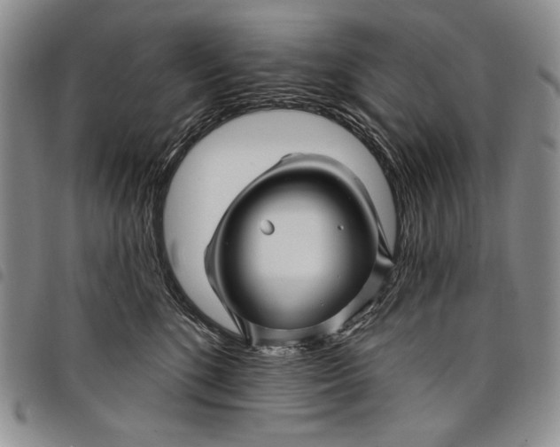 X0000097970520200804141056