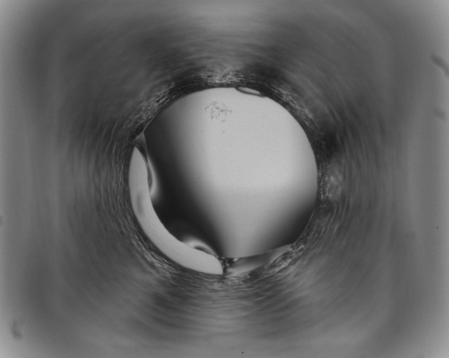 X0000097970521200804141056