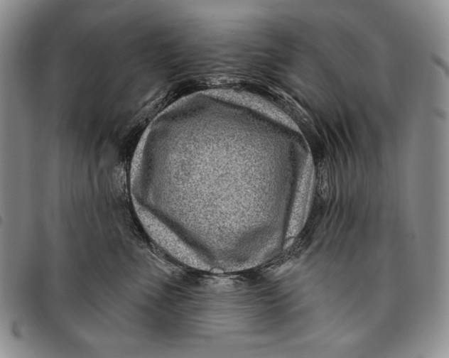 X0000097970523200804141056
