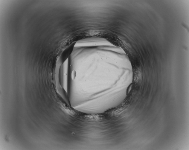 X0000097970524200804141056