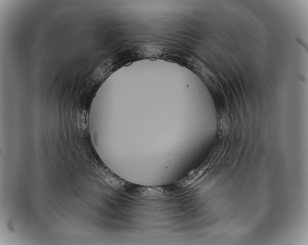 X0000097970525200804141056