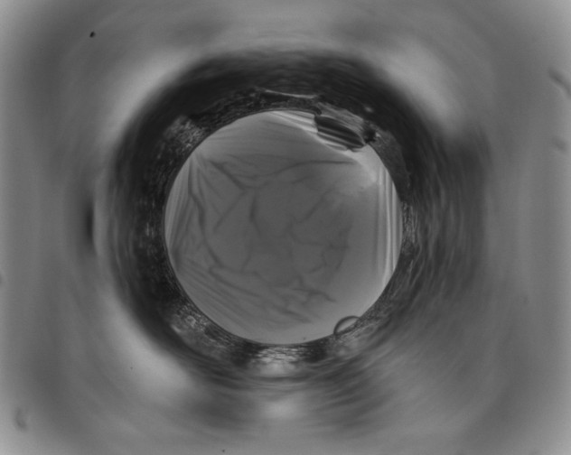 X0000097970526200804141056