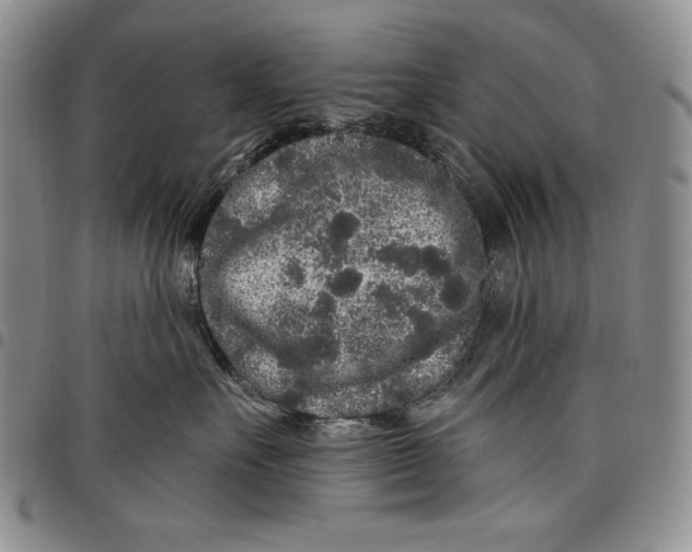 X0000097970527200804141056