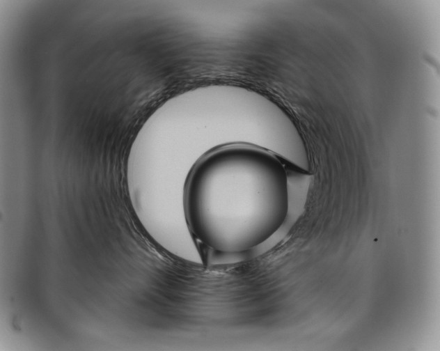 X0000097970528200804141056