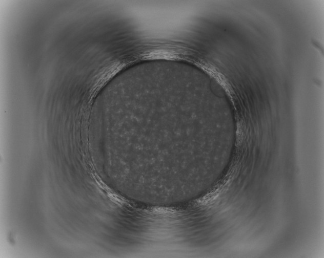X0000097970529200804141054
