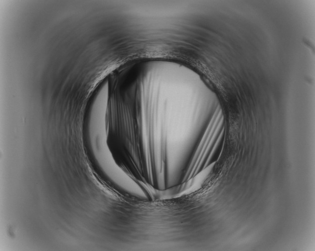 X0000097970530200804141055