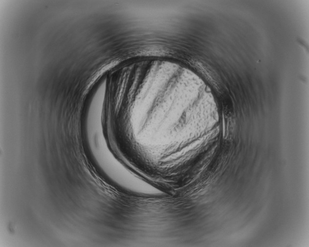 X0000097970531200804141055