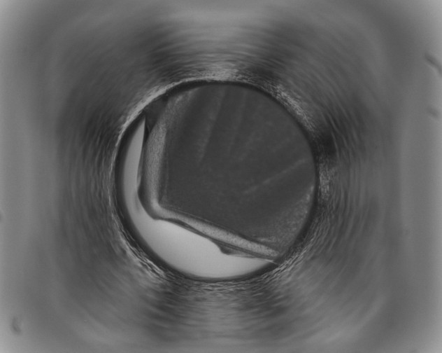 X0000097970532200804141055