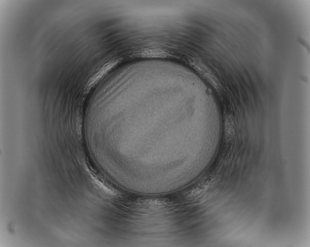X0000097970533200804141055