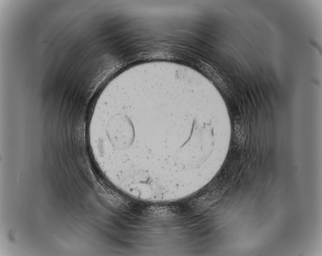 X0000097970534200804141055
