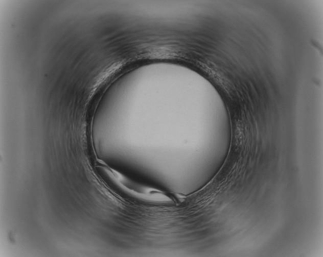 X0000097970535200804141055