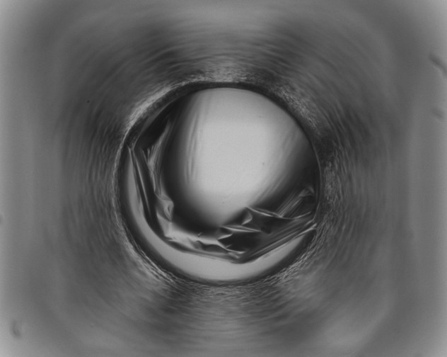 X0000097970536200804141055