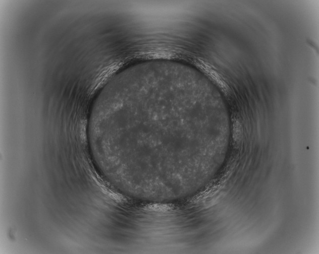 X0000097970537200804141055