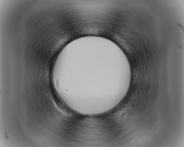 X0000097970538200804141055