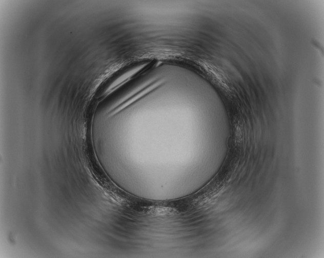 X0000097970539200804141055