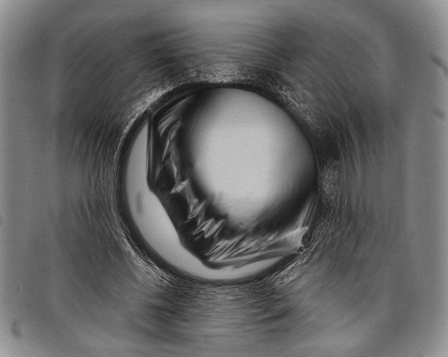 X0000097970540200804141055
