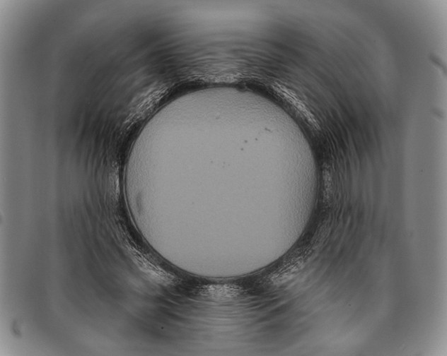 X0000097970541200804141055