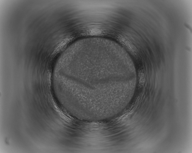 X0000097970542200804141055