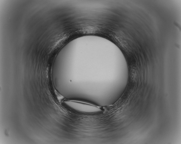 X0000097970543200804141055