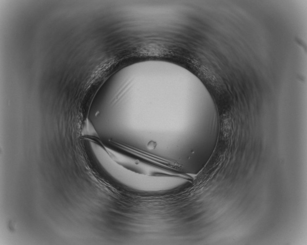X0000097970544200804141055