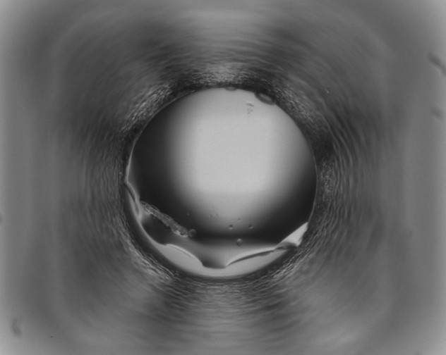 X0000097970546200804141055