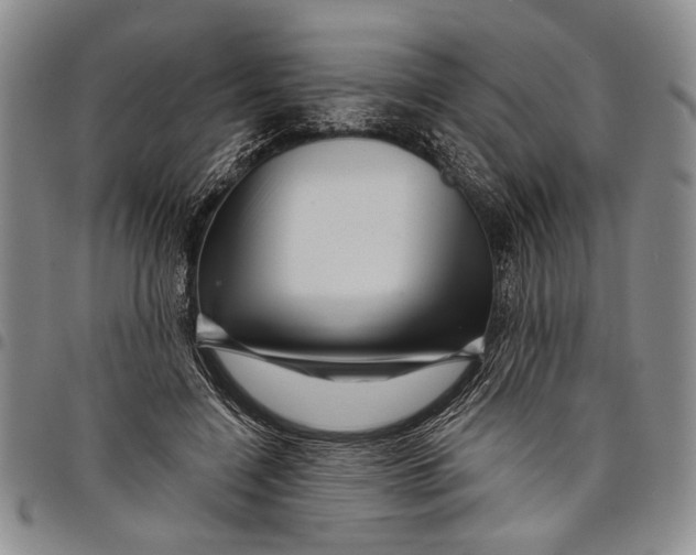 X0000097970548200804141055