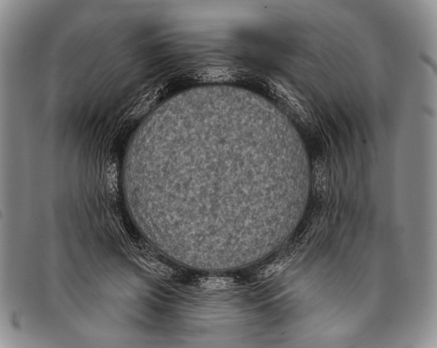 X0000097970549200804141055