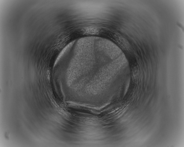 X0000097970551200804141055