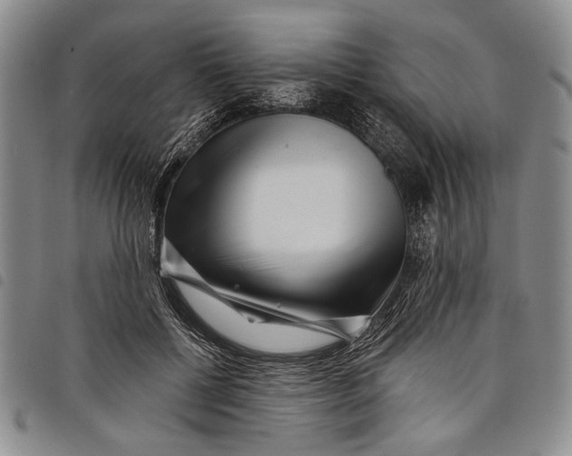 X0000097970552200804141055
