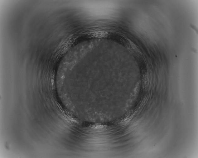 X0000097970553200804141055