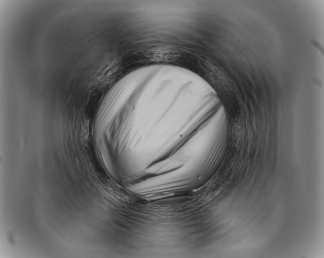 X0000097970554200804141055