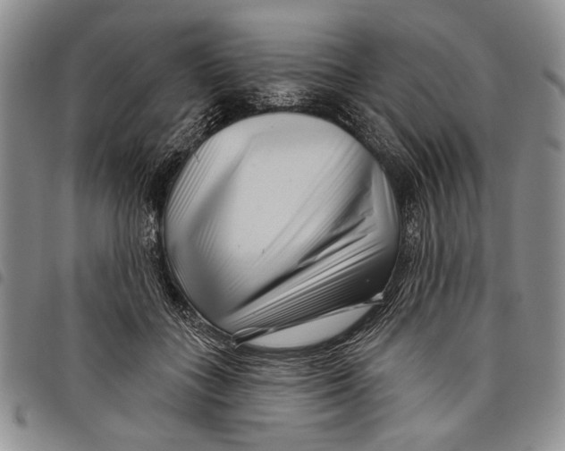 X0000097970555200804141055