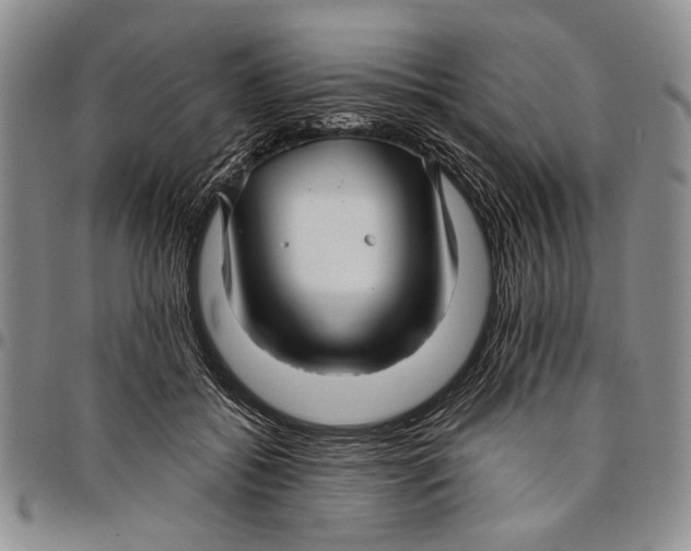 X0000097970556200804141055