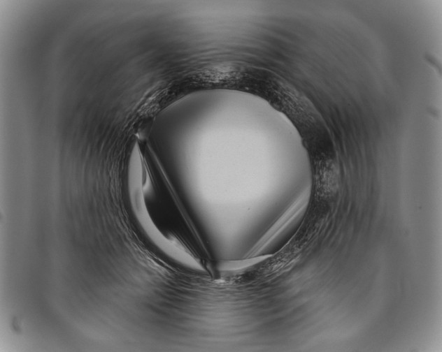 X0000097970558200804141055