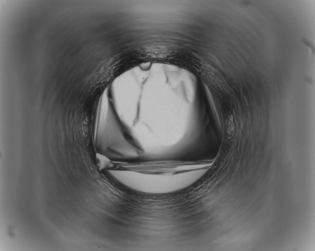 X0000097970559200804141055