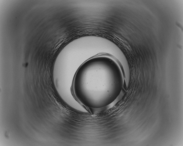 X0000097970560200804141055