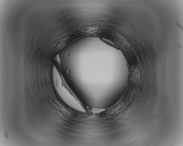 X0000097970562200804141055
