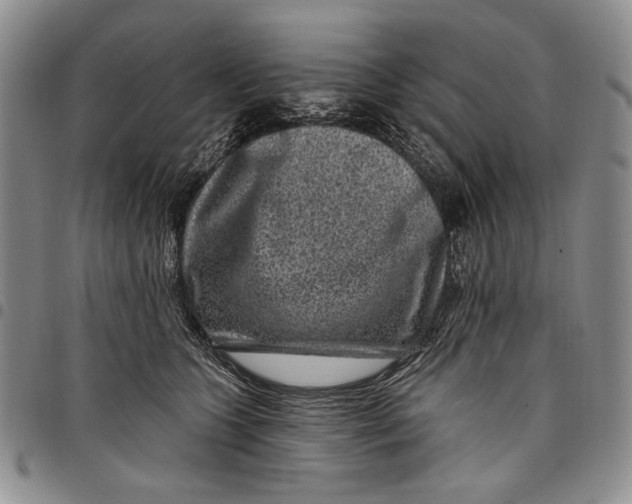 X0000097970563200804141055
