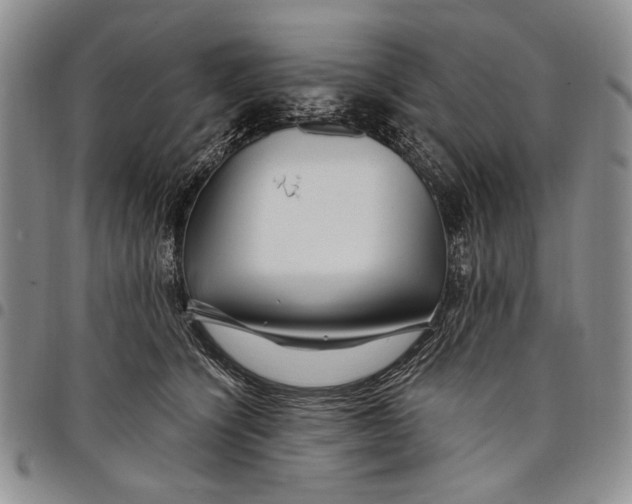 X0000097970564200804141055