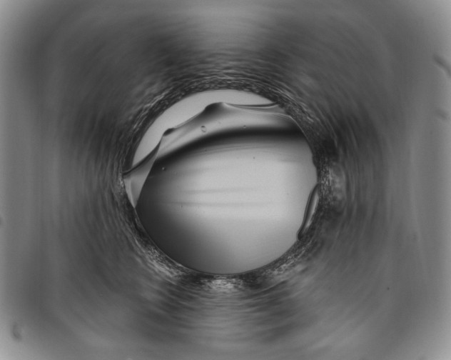 X0000097970566200804141055
