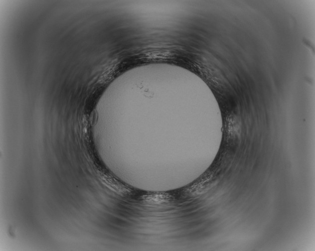 X0000097970567200804141056