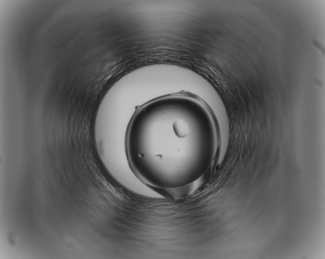 X0000097970568200804141056