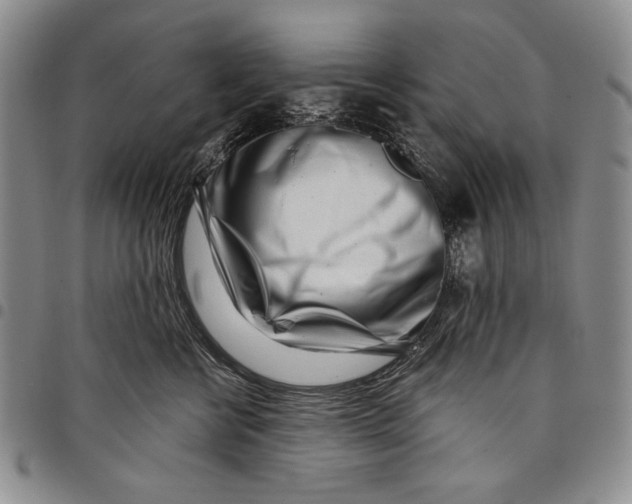X0000097970570200804141056