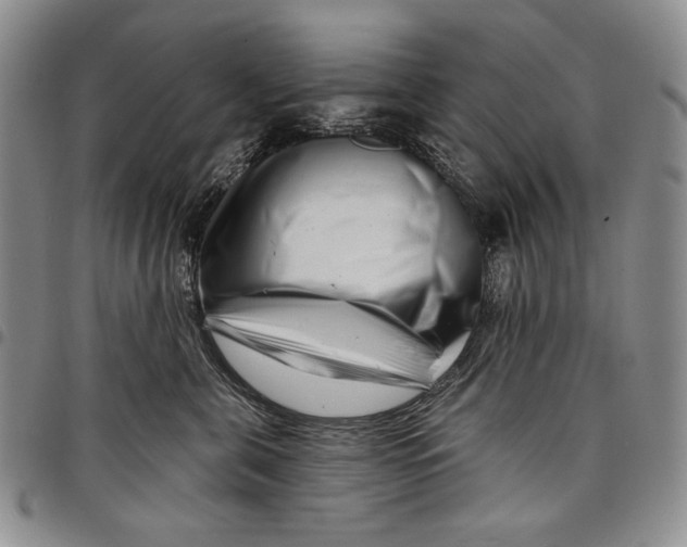 X0000097970571200804141056