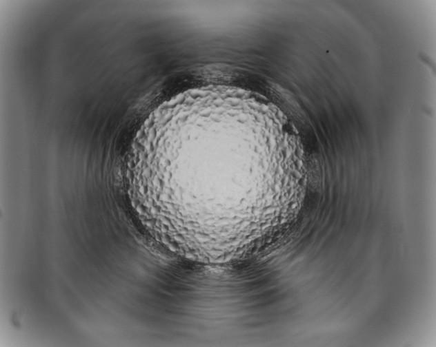 X0000097970573200804141056