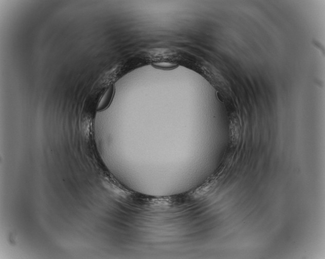 X0000097970574200804141056