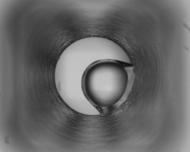 X0000097970576200804141056