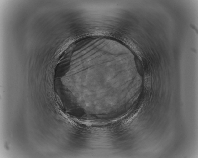 X0000097970577200804141054