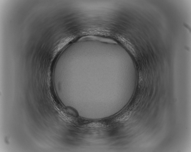 X0000097970578200804141054