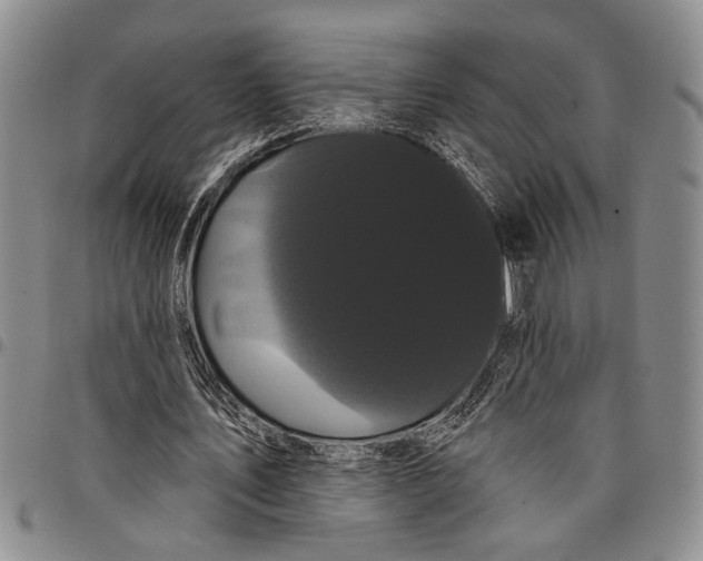 X0000097970579200804141054